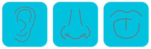 Otorrinolaringolog&iacute;a y Cirug&iacute;a de Cabeza y Cuello